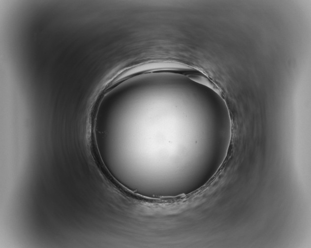 X0000099960005200805301323