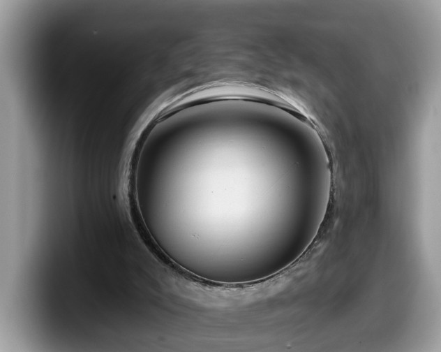 X0000099960007200805301323