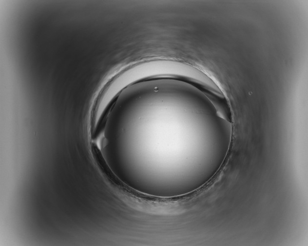 X0000099960008200805301323