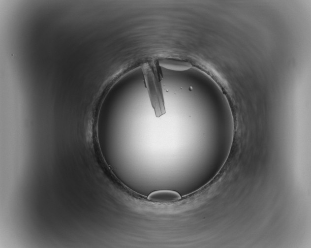 X0000099960010200805301323