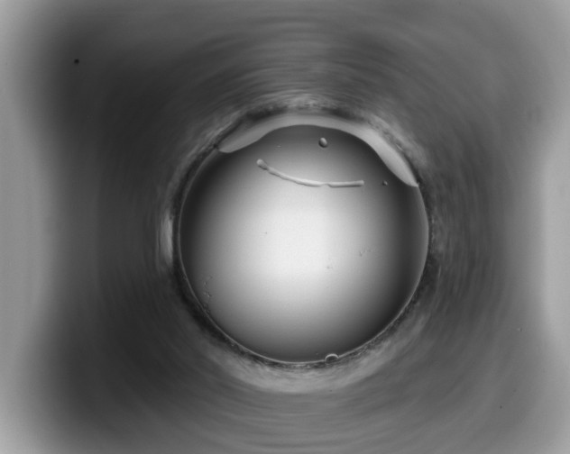 X0000099960014200805301323