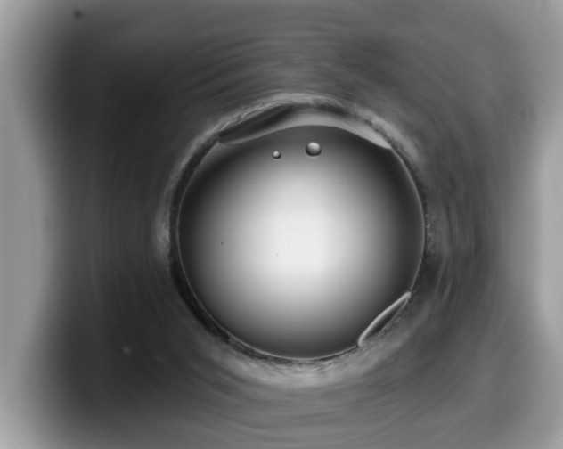 X0000099960015200805301323