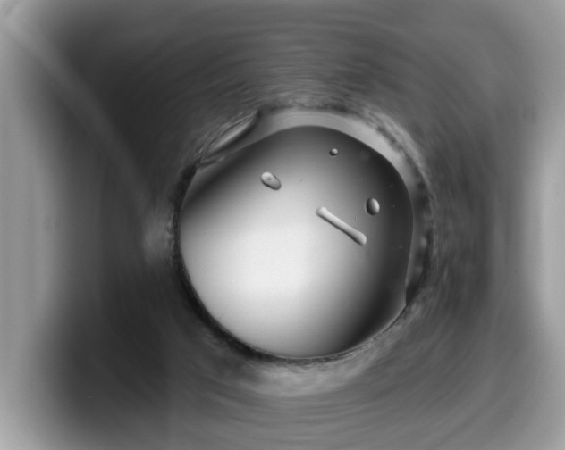 X0000099960017200805301323