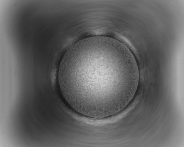 X0000099960018200805301323
