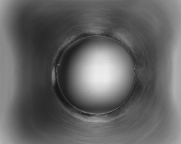 X0000099960020200805301323