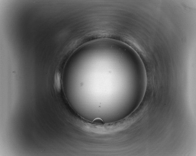 X0000099960022200805301323