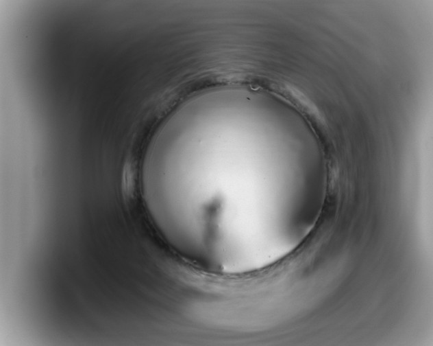 X0000099960026200805301323