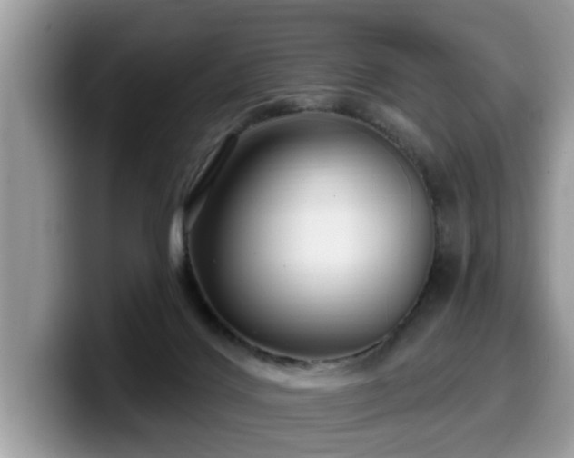 X0000099960028200805301323