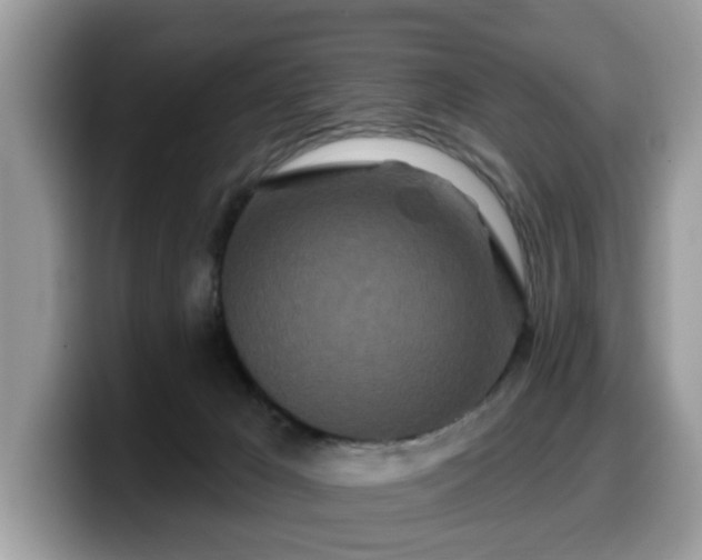 X0000099960029200805301323