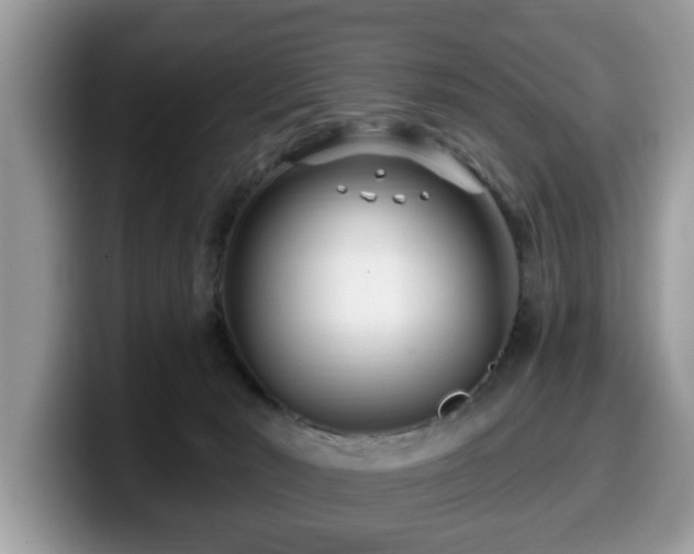 X0000099960030200805301323