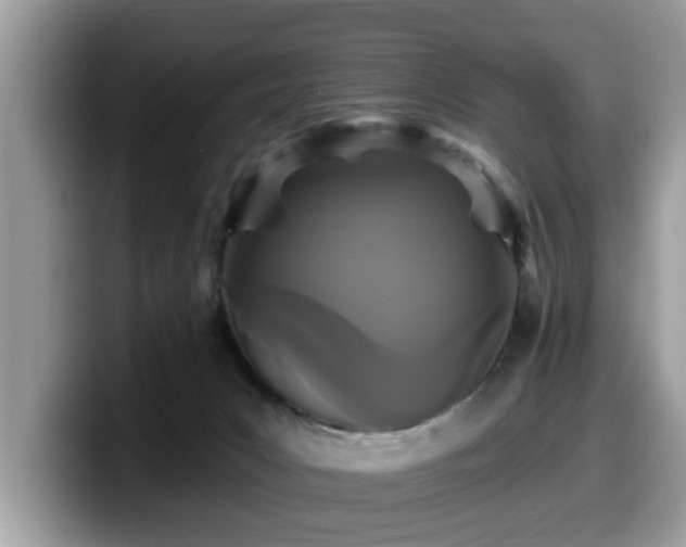 X0000099960031200805301323