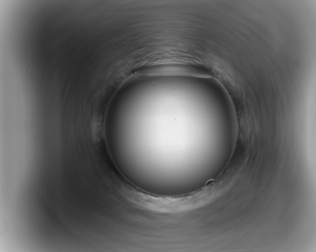X0000099960034200805301323