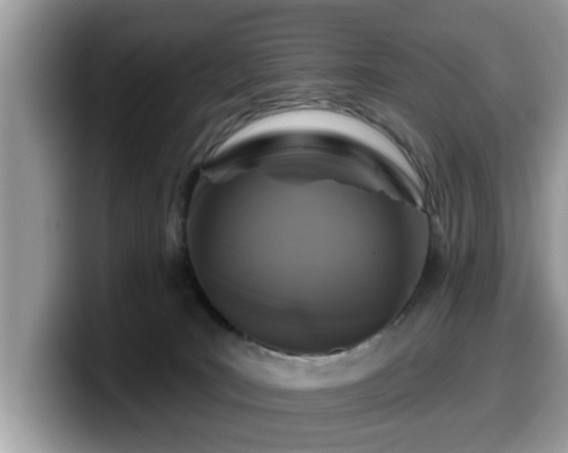 X0000099960035200805301323