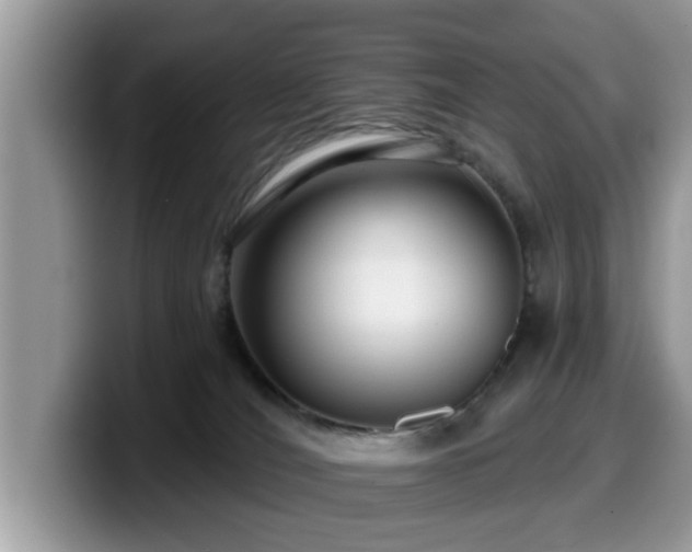 X0000099960036200805301323
