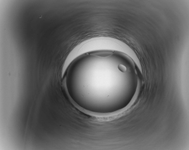 X0000099960037200805301323