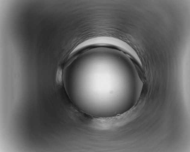 X0000099960041200805301322
