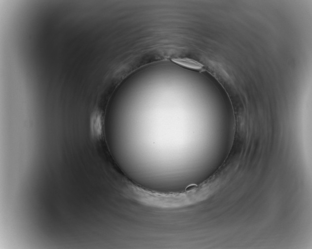 X0000099960042200805301322