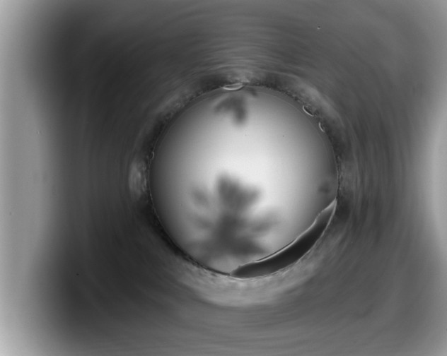 X0000099960043200805301322