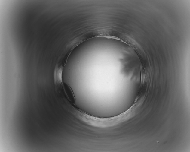 X0000099960047200805301322