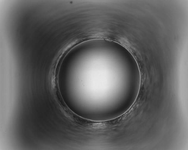 X0000099960050200805301322