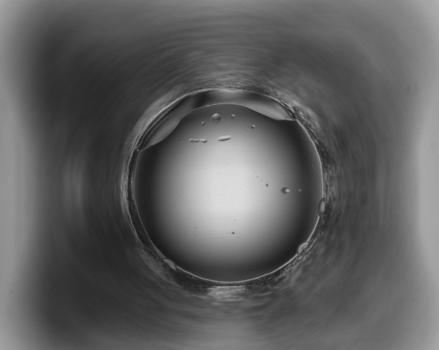 X0000099960051200805301322