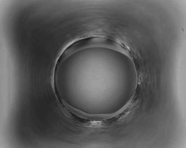 X0000099960052200805301322