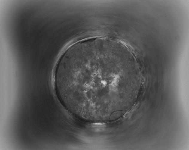 X0000099960053200805301322