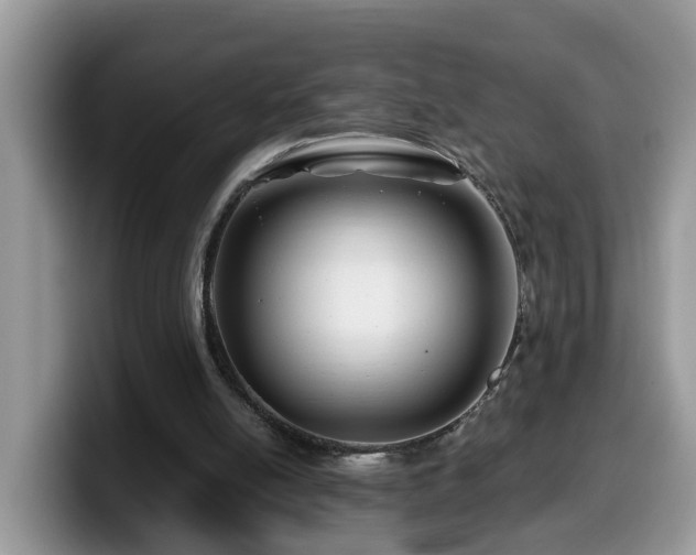 X0000099960054200805301322