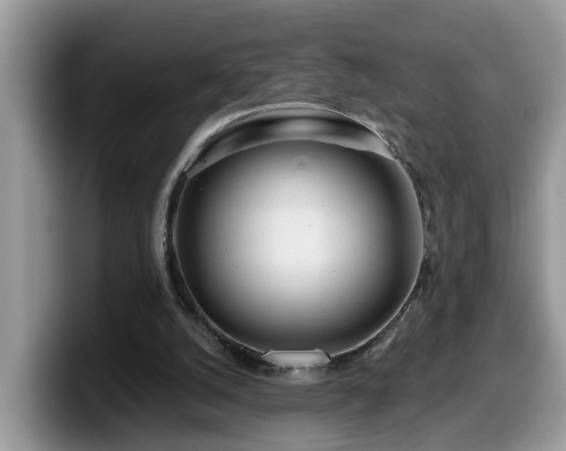 X0000099960056200805301322