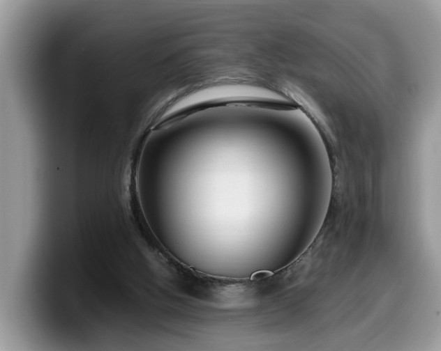 X0000099960058200805301322