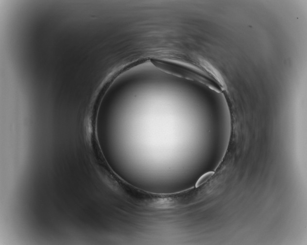 X0000099960059200805301322