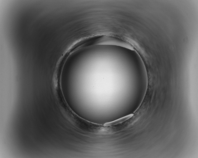 X0000099960060200805301322
