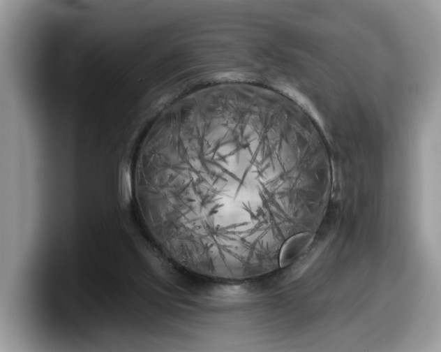 X0000099960061200805301322