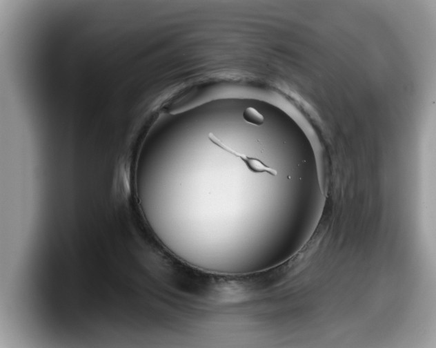 X0000099960062200805301322