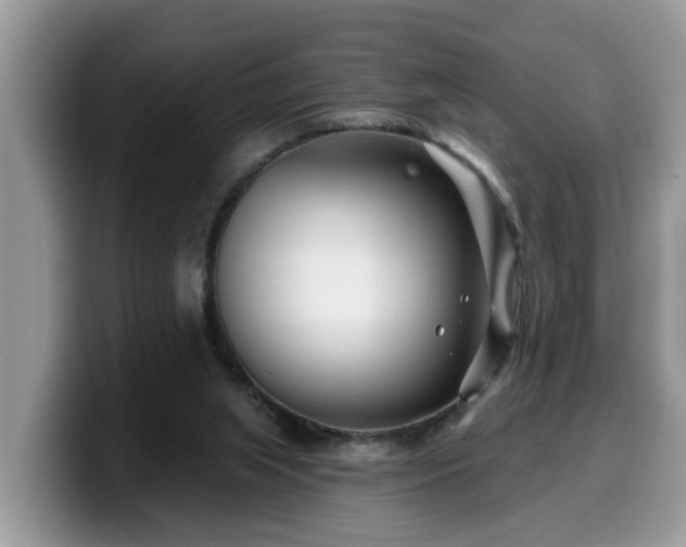 X0000099960063200805301322
