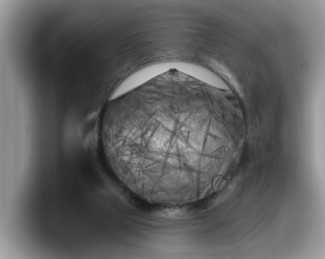 X0000099960065200805301322