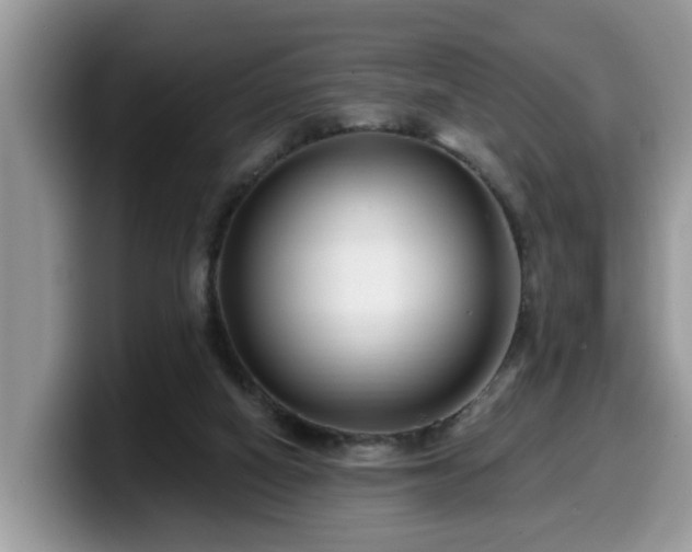 X0000099960066200805301322