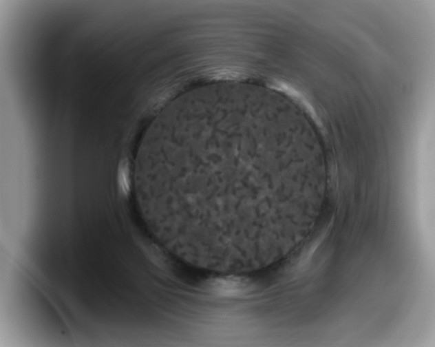 X0000099960069200805301322