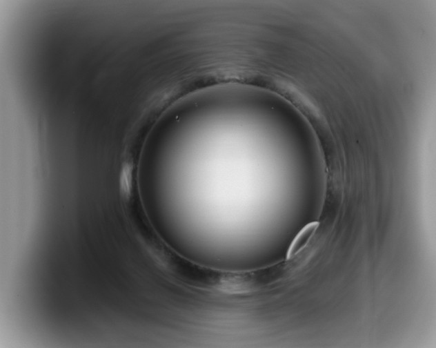 X0000099960070200805301322