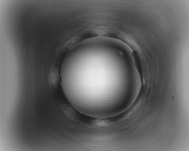 X0000099960073200805301322