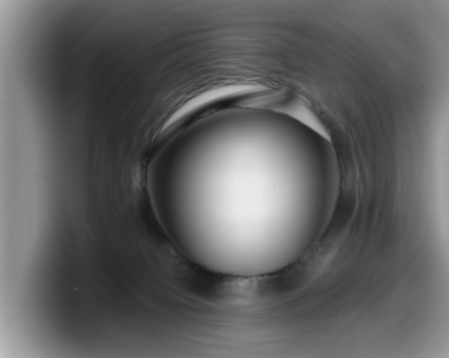 X0000099960084200805301322