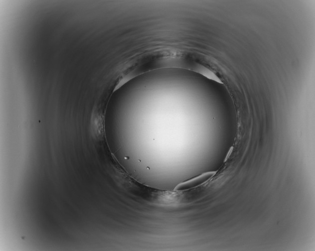 X0000099960096200805301322