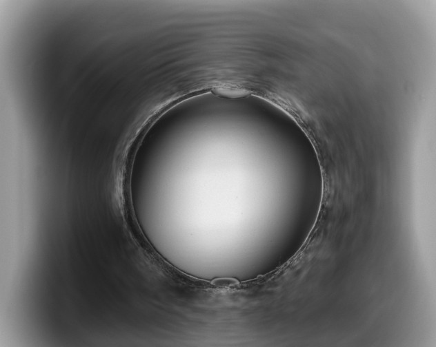 X0000099960098200805301322