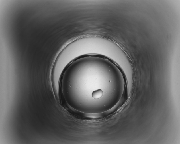 X0000099960100200805301322