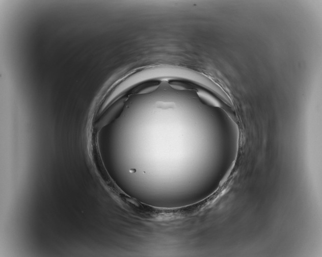 X0000099960101200805301322
