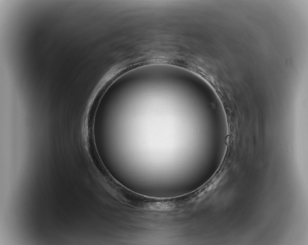 X0000099960102200805301322
