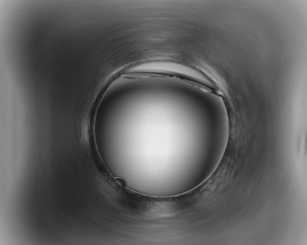 X0000099960107200805301322
