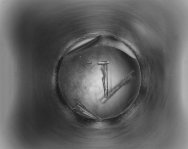 X0000099960111200805301322