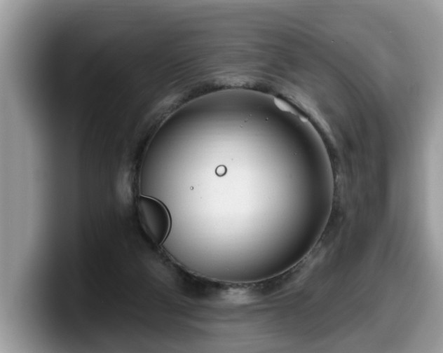 X0000099960114200805301322