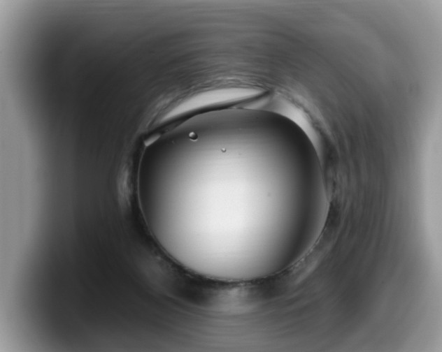 X0000099960116200805301322